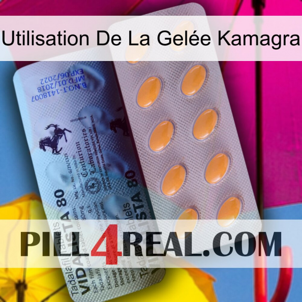 Utilisation De La Gelée Kamagra 44.jpg